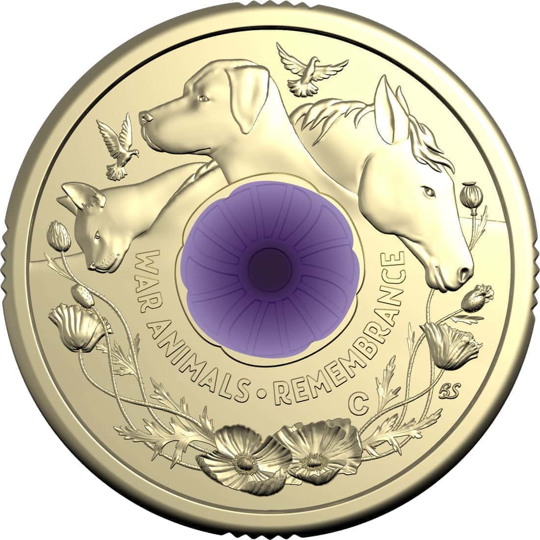 War Animals Remembrance 2024 $2 C Mintmark Coloured Uncirculated Coin - Purple poppy