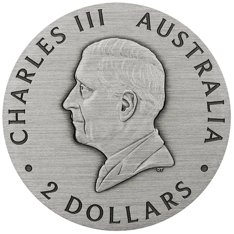 Honey Bee 2025 2oz Silver Antiqued Coloured Coin