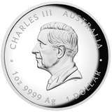 Australian Lunar Series III Year Of The Horse 2026 1oz Silver Proof High Relief Coin