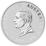 2026 Brumby 1oz Silver Coloured Coin