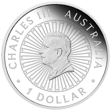 Australian Opal Lunar Series 2026 Year of the Horse 1oz Silver Proof Coin