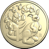 2024 Baby Coins Uncirculated Six Coin Baby Year Set - Nova Coins