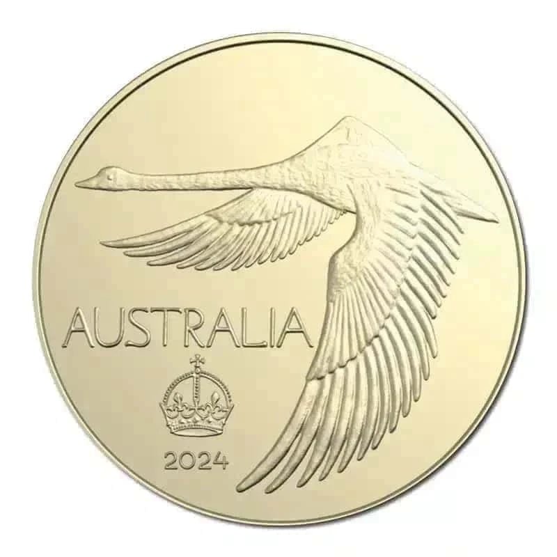 2024 Swan Pattern Dollar Al/Bronze UNC - Nova Coins