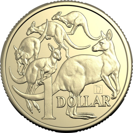2025 Mob of Roos $1 30th Anniversary of ANDA with Perth Map Privymark - Nova Coins