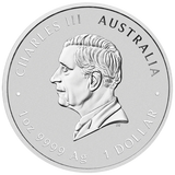 2025 Quokka 1oz Silver Coloured Proof Coin