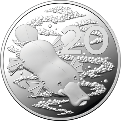 "2023 Baby Coins Proof Year Set - Nova Coins"