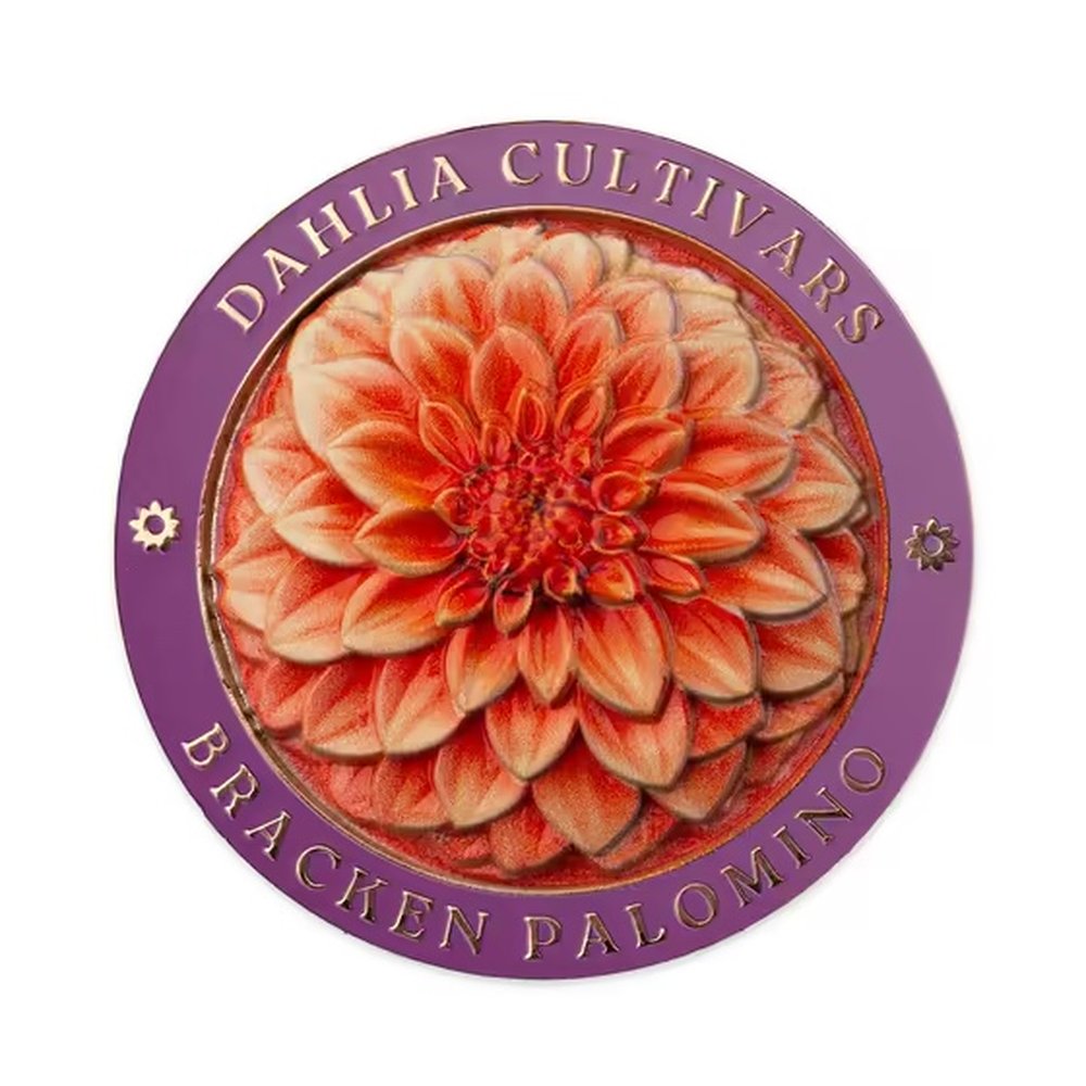 Dahlias Australian Cultivars Medallion Cover