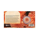 Dahlias Australian Cultivars Medallion Cover