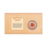 Dahlias Australian Cultivars Medallion Cover