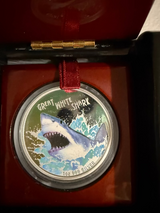 Great white shark coin in a wood display case