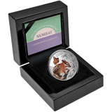 2025 Baby Numbat 1oz Silver Coloured Proof Coin