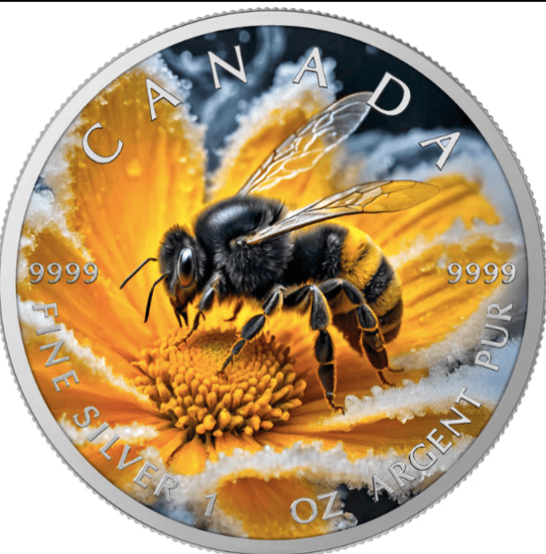 Canadian Bumble Bee 2025 Coloured 1oz Silver Coin