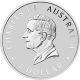 Australian Wedge-tailed Eagle 2026 1oz Silver Coloured Coin in Card