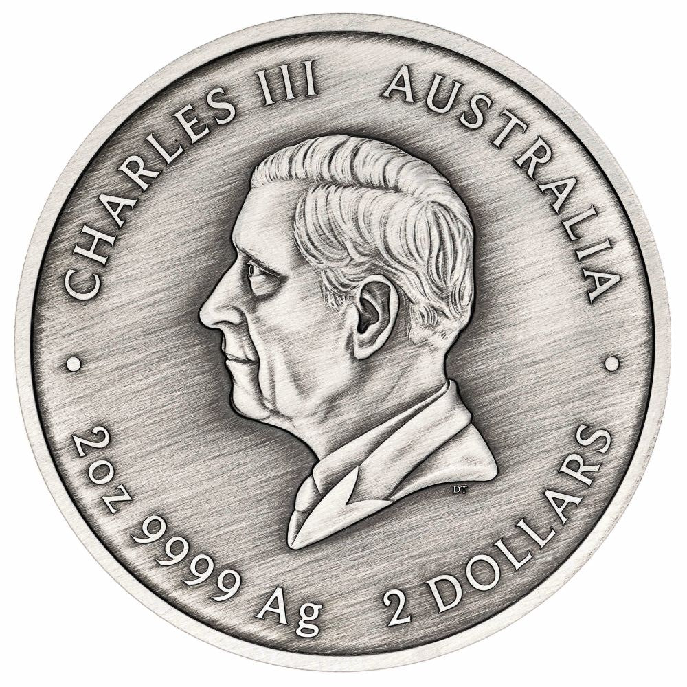 Turtle Yaunati 2026 $2 Australia Colour 2oz Silver Antique Coin