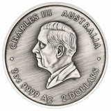 Turtle Yaunati 2026 $2 Australia Colour 2oz Silver Antique Coin