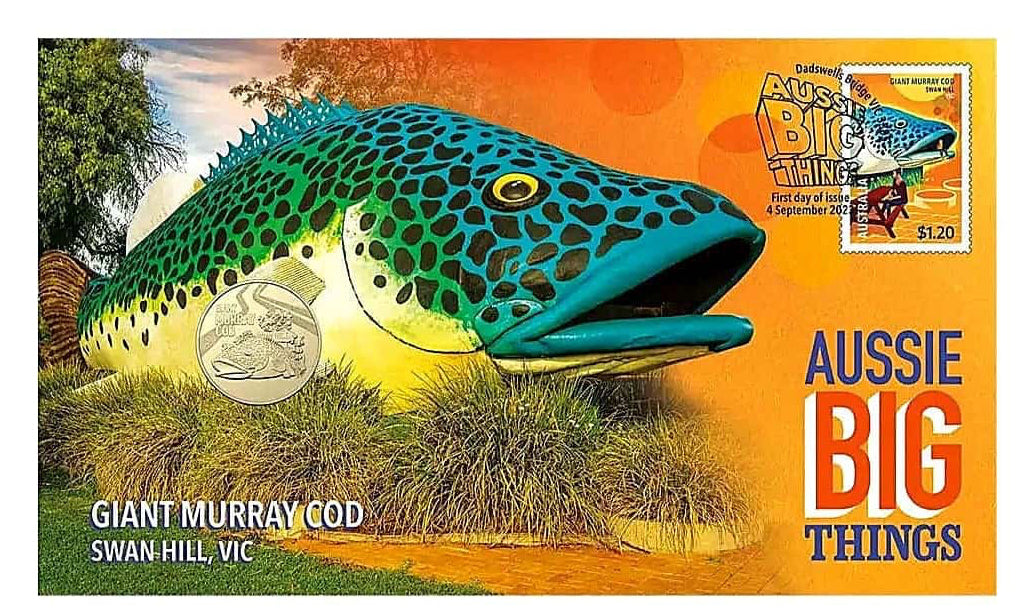 Giant Murray Cod