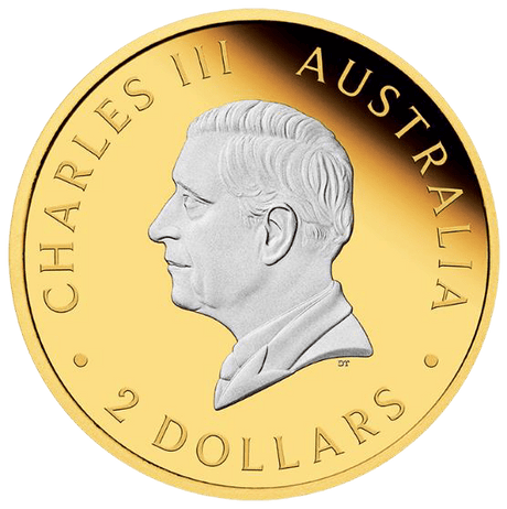 Australian Kangaroo 2025 $2 2oz Silver Proof Reverse Gilded Coin - Nova Coins