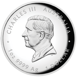 Australian Lunar Series III Year Of The Horse 2026 1oz Silver Proof High Relief Coin - Nova Coins