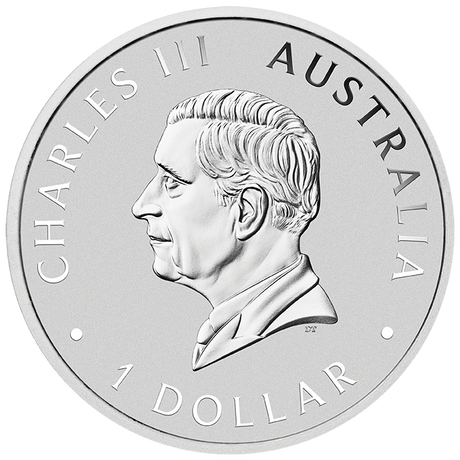 BICE - Australian Koala with Panda Privy 2025 1oz Silver Coin in Card - Nova Coins