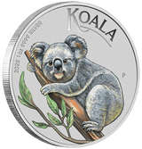 Brisbane ANDA Money Expo 2025 - Koala 2025 1oz Silver Coloured Coin in Card - Nova Coins