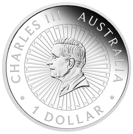 Great Southern Land Desert 2025 1oz Silver Proof Jasper Coin - Nova Coins