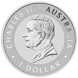 Sundowner Red Kangaroo 2026 $1 1oz Silver Coloured Coin in Card