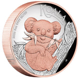 Australian Koala 2026 $8 5oz Silver Proof High Relief Gilded Coin