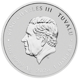 Stranger Things - The Upside Down 2026 1oz Silver Coloured Coin - Nova Coins