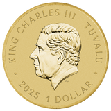 Teenage Mutant Ninja Turtles 2025 $1 Coin In Card - Nova Coins