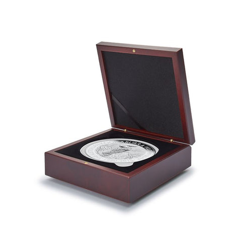 VOLTERRA Coin Box for XL coin capsules 53–101 mm - Nova Coins